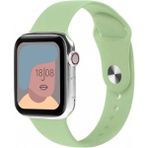 Casetify Apple Watch Seri 1/2/3/4/5/6/7/8/se/ultra 38MM 40MM 41MM Kordon Kayış Bileklik Klasik Silikon Fıstık Yeşili - 40 mm
