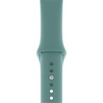 Casetify Apple Watch Seri 1/2/3/4/5/6/7/8/se/ultra 38MM 40MM 41MM Kordon Kayış Bileklik Klasik Silikon Kaktüs - Kaktüs Rengi - 40 mm