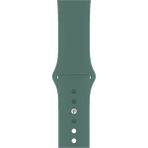 Casetify Apple Watch Seri 1/2/3/4/5/6/7/8/se/ultra 38MM 40MM 41MM Kordon Kayış Bileklik Klasik Silikon Pine Green - 41 mm