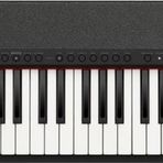 Casio CT-S1-76BK 76 Tuşlu Org (Siyah)