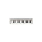 Casio CT-S1WEC2 61 Tuşlu Beyaz Org