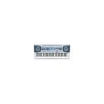 Casio CTK 591 Org