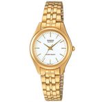 Casio LTP-1129N-7ARDF Kadın Kol Saati