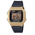 Casio W-217HM-9AVDF Erkek Kol Saati