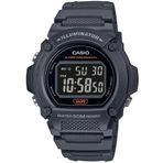 Casio W-219H-8BVDF Erkek Kol Saati