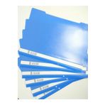 Cassa Mavi Telli Dosya 6 Lı