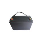 Castelları Tornado Carbon L V3 Zeytin Silkeleme Makinası Lifepo4 Batarya 12 Volt 42 Ah