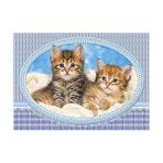 Castorland 120 Parça Yavru Kediler Çocuk Puzzle