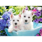Castorland 60 Parça Westie Terrier Yavruları Puzzle