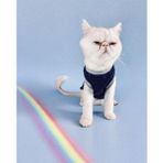 Cat Navy Sports Atlet Kedi Kıyafeti (Small / 1 - 1,5 kg )