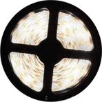 Cata 120 Çip Şerit Led İç Mekan Beyaz 5Mt/Adet CAT CT-4540