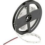 Cata 5 Metre Kendinden Yapışkanlı LED Şerit Bant 12V Beyaz Işık 6500K 60 Led/m IP20 Yüksek Dayanıklılık