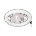 Cata CT-3010 Meltem Tavan Armatürü Led Vantilatör