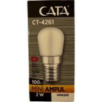Cata CT-4261 2W 3200K (Günışığı) E14 Duylu Mini LED Ampul - Gün Işığı