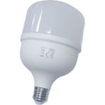 CATA CT 4263 30W LED AMPUL
