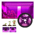 Cata CT-4470 10 Çip İç Mekan Pembe Şerit Led