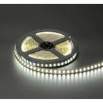 Cata CT-4480 5mt İç Mekan Şerit LED 12 V Beyaz Işık Özelliği ile Enerji Tasarruflu - 5 m