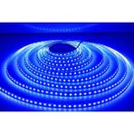 Cata CT-4484 10 Çip Şerit LED Iç Mekan Mavi (5 Mt)