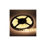 Cata CT-4538G 240 ÇİPLİ ŞERİT LED İÇ MEKAN DAHA İYİ AYDINLATMA (Günışığı) 5 METRE