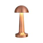 Cata CT-8430 Bronz Dokunmatik Şarjlı Masa Lambası