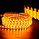 Cata Metrelik Hortum LED Amber Turuncu 220 Volt Hortum LED Tak Çalıştır Şerit LED Yüksek Işık Su Geçirmez - 1 m - Amber - Turuncu