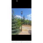 Cata solar GÜNEŞ ENERJİLİ bahçe aydinlatma Direği ve 200 wt solar sokak lambasi 2li set