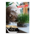 CATİX %100 Doğal Kedi Çimi File HEDİYELİ (Tüy Yumağı Önleyici)