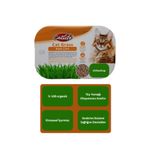 Catlife Kedi Çimi