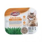 Catlife Tuy Yumagi Onleyici Sindirim Destekleyici Kedi Cimi Fileli Kedi Otu Tohumu Paket
