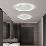 Catluz CL54104 Gold Kumandalı,Dimli,3 Işık Rengi Ø40CM Çember,LED Tavan Lambası,Yuvarlak Avize,Modern Aydınlatma
