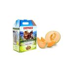 CatMozz 10 lt Kavun Melon Doğal Organik Çam Peleti Kedi Kumu
