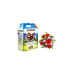 Catmozz Spring Doğal Organik Çam Peleti Kumu Bahar Kokulu 10 Lt Orijinal Paket