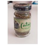 catnip Catnip Kedi Çimi Nanesi