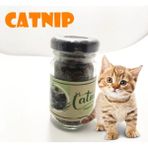 Catnip Doğal Kedi Otu - Kedi Nanesi Midastech - Alabalık