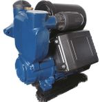 Catpower 611 Benzinli Hidrofor 400 Watt