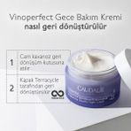 Caudalie Leke Karşıtı ve Işıltı Verici Etkili Vinoperfect Gece Bakım Kremi 50 ml