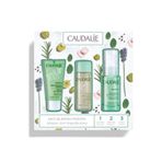 Caudalie Vinopure Akne Karşıtı Tanışma Bakım Seti