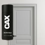 CAXCOLORS Lake & Ahşap Kapı Boyası Özel Yapım Akrilik Sprey Boya 400 ml - AÇIK GRİ