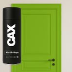 CAXCOLORS Lake & Ahşap Kapı Boyası Özel Yapım Akrilik Sprey Boya 400 ml - AÇIK YEŞİL