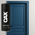 CAXCOLORS Lake & Ahşap Kapı Boyası Özel Yapım Akrilik Sprey Boya 400 ml - KOYU MAVİ