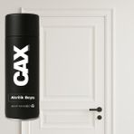 CAXCOLORS Lake & Ahşap Kapı Boyası Özel Yapım Akrilik Sprey Boya 400 ml - MAT BEYAZ
