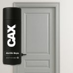 CAXCOLORS Lake & Ahşap Kapı Boyası Özel Yapım Akrilik Sprey Boya 400 ml - METALİK GÜMÜŞ