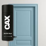 CAXCOLORS Lake & Ahşap Kapı Boyası Özel Yapım Akrilik Sprey Boya 400 ml - TURKUAZ