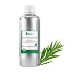 Çay Ağacı Uçucu Yağı - Etheloil - 1 KG -%100 Saf ve Doğal Uçucu Yağ - Üretici Firma, Yüksek Kalite, Toptan Satış - Tea Tree Essential Oil - Melaleuca