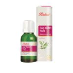 Çay Ağacı Yağı Doğal Bitkisel Uçucu Yağ 20 Ml Saç Ve Cilt Bakım Yağı