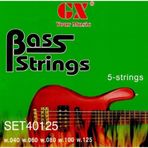 Caye Beş Telli Bas Gitar Teli Gab305