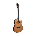 CCG100CTNTEQ Elektro Klasik Gitar - Renkli