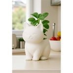 ceatly Sevimli Kedi Saksı | Dekoratif Mini Çiçeklik | Modern Tasarım | 14 cm