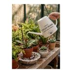 ÇEÇEN HOME Plastik Bahçe ve Çiçek Sulama Bidonu 6 LT , Süzgeçli Sulama Bidonu ,Sulama Kabı ,Bahçe Sulama Bidonu
