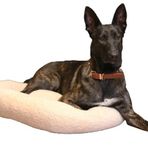 CecePet Chips Serisi Medium 70x70 cm Kedi ve Köpek Yatağı